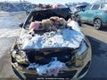 Photo 6 of 20 — 2013 Kia Rio