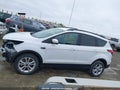 Photo 15 of 20 — 2019 Ford Escape