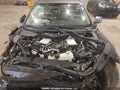 Photo 10 of 20 — 2024 Infiniti Q50