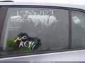 Photo 11 of 20 — 2011 Volkswagen Golf