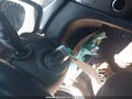 Photo 11 of 22 — 2017 Hyundai Elantra