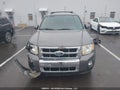 Photo 11 of 17 — 2010 Ford Escape
