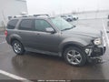 Photo 12 of 17 — 2010 Ford Escape