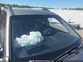Photo 16 of 18 — 2009 Kia Sportage