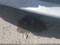 Photo 20 of 20 — 2016 Dodge Grand Caravan