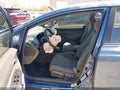 Photo 19 of 20 — 2010 Honda Civic