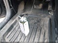 Photo 11 of 18 — 2023 Kia Forte