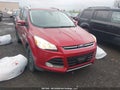 Photo 1 of 17 — 2014 Ford Escape