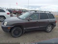 Photo 14 of 20 — 2004 Hyundai Santa Fe