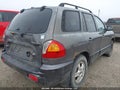 Photo 6 of 20 — 2004 Hyundai Santa Fe