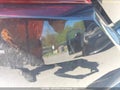 Photo 22 of 22 — 2019 Honda Civic