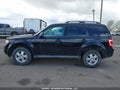 Photo 14 of 18 — 2009 Ford Escape