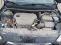 Photo 10 of 22 — 2016 Hyundai Accent