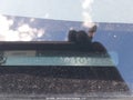 Photo 18 of 18 — 2001 Toyota Celica