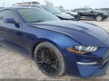 Photo 20 of 21 — 2019 Ford Mustang