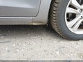 Photo 21 of 21 — 2013 Hyundai Elantra