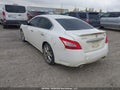 Photo 3 of 18 — 2010 Nissan Maxima