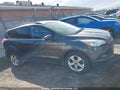 Photo 13 of 16 — 2016 Ford Escape