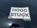 Photo 10 of 19 — 2018 Honda Civic