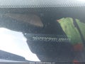 Photo 19 of 19 — 2014 Nissan Versa Note