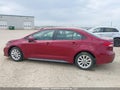 Photo 14 of 19 — 2022 Toyota Corolla