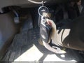 Photo 11 of 17 — 2012 Toyota Prius V