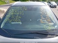 2025 Nissan Kicks — photo 17 of 20 | VIN 3N1CP5CV6SL484231