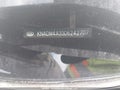 Photo 20 of 20 — 2013 Kia Rio