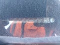 Photo 20 of 22 — 2014 Honda Civic