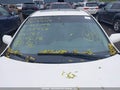 Photo 18 of 23 — 2011 Nissan Altima