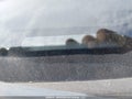 Photo 17 of 17 — 2015 GMC Sierra
