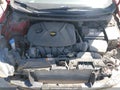 Photo 10 of 16 — 2013 Hyundai Elantra