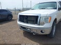 Photo 6 of 19 — 2009 Ford F-150