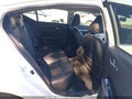 Photo 8 of 20 — 2023 Nissan Altima