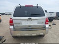 Photo 16 of 18 — 2010 Ford Escape