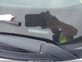 Photo 18 of 19 — 2017 Honda Civic