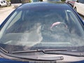 Photo 17 of 19 — 2013 Hyundai Elantra