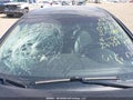 Photo 18 of 23 — 2012 Hyundai Sonata