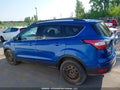 Photo 13 of 19 — 2017 Ford Escape