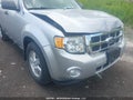 Photo 19 of 19 — 2011 Ford Escape