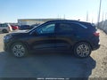 Photo 14 of 19 — 2022 Ford Escape