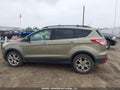 Photo 13 of 20 — 2013 Ford Escape