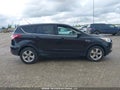 Photo 13 of 18 — 2014 Ford Escape