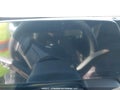 Photo 14 of 18 — 2026 Chevrolet Equinox