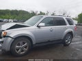 Photo 14 of 18 — 2011 Ford Escape