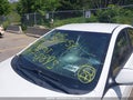 Photo 6 of 18 — 2014 Hyundai Accent
