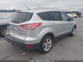 Photo 4 of 16 — 2014 Ford Escape