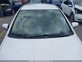 Photo 17 of 20 — 2010 Nissan Sentra
