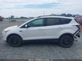Photo 15 of 19 — 2014 Ford Escape