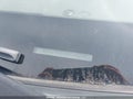 2011 Toyota RAV4 — photo 18 of 18 | VIN 2T3ZF4DV7BW096288